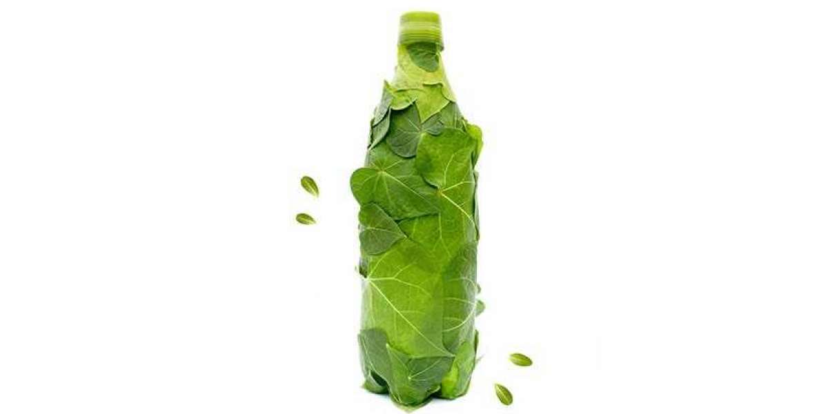 Biodegradable Water Bottle Market Share, Size, Trends & Growth Forecast By 2028